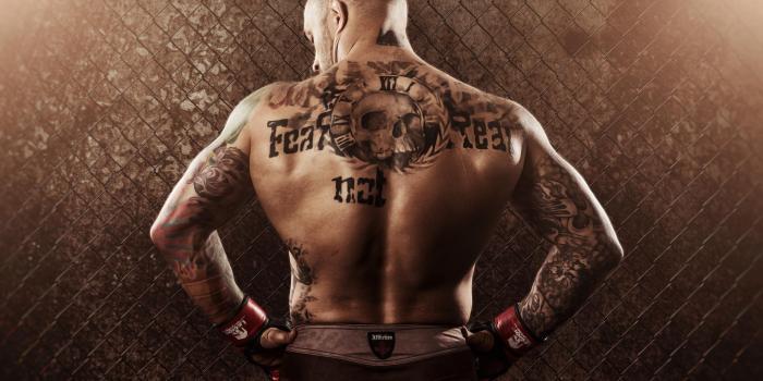 2048x1365 1366x768 mma, mixed martial arts, athlete 1366x768 Resolution Wallpaper, HD  Sports 4K Wallpapers, Images, Photos and Background - Wallpapers Den