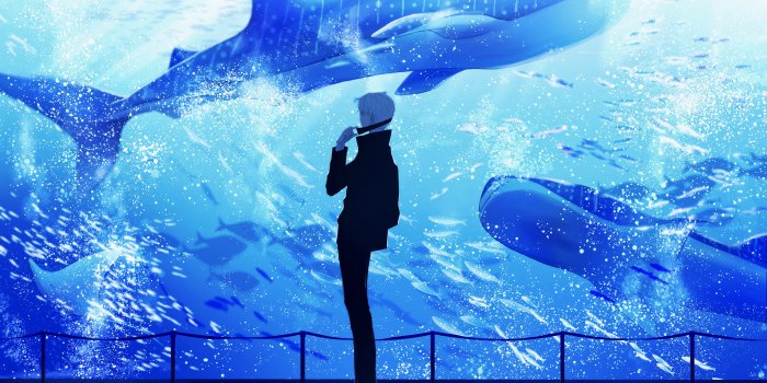 4096x2640 4K Aquarium Wallpapers | Background Images