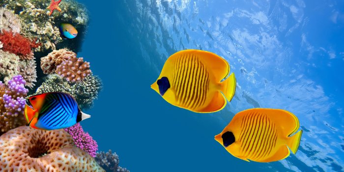 3840x2160 Aquarium 4K UHD Wallpapers - Top Free Aquarium 4K UHD Backgrounds -  WallpaperAccess