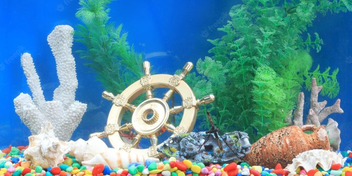 2000x1069 Aquarium backgrounds Images | Free Vectors, Stock Photos & PSD