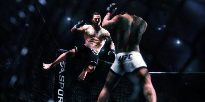 1920x1080 UFC mma fighting martial arts mixed (6) wallpaper | 1920x1080 | 360344 |  WallpaperUP