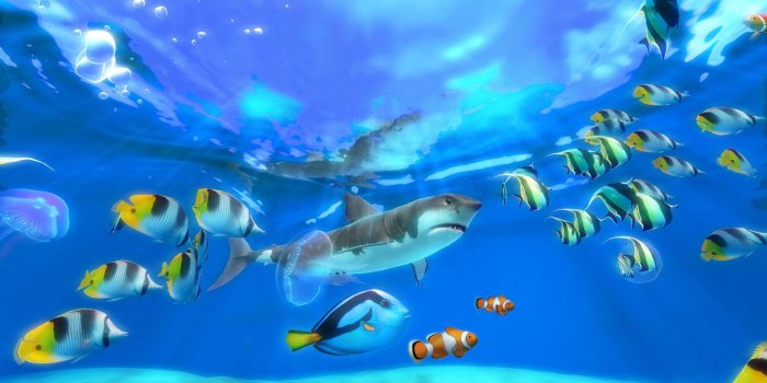 1920x1080 Live Wallpaper Windows 10 Fish - Live Aquarium Screensaver Windows 10  (1920x1080) | Aquarium screensaver, Live wallpapers, Fish wallpaper