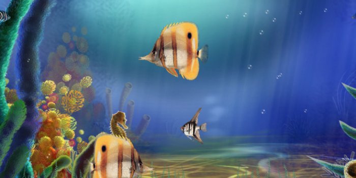 1024x768 Windows 10 Aquarium Screensaver - Animated Aquarium Screensaver -  Windows10Screensavers.net