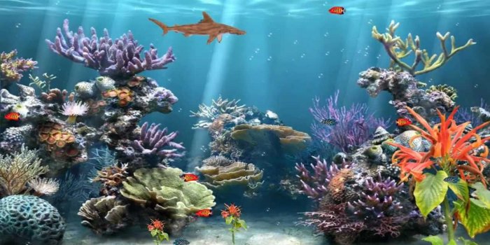 1280x720 500+ Cartoon Aquarium Wallpapers & Background Beautiful Best Available For  Download Cartoon Aquarium Photos Free On Zicxa.com Images