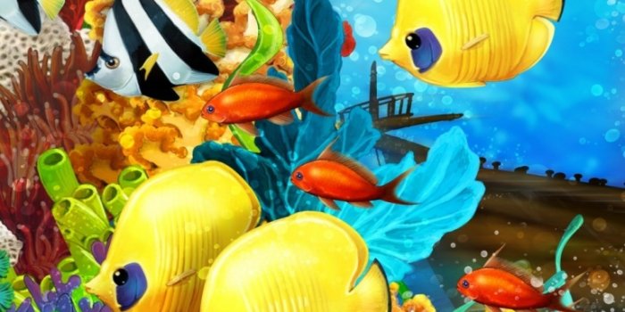 768x1152 Fish Aquarium Ultra HD Desktop Background Wallpaper for 4K UHD TV :  Widescreen & UltraWide Desktop & Laptop : Tablet : Smartphone