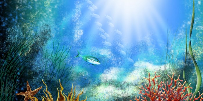 1920x1200 Aquarium Backgrounds #6770998