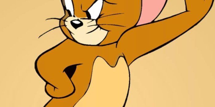 1080x1920 Tom And Jerry iPhone Wallpapers