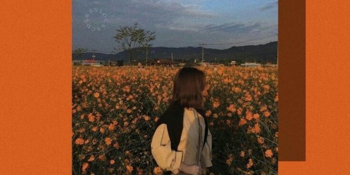 735x1308 Orange Aesthetic Anime Wallpapers