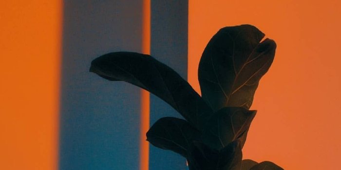 1080x1350 Orange Aesthetic | Orange Wallpaper Download | MobCup