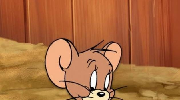 630x1280 jerry wallpaper by Aneek004 - Download on ZEDGE™ | 1650