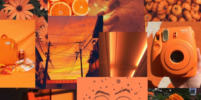2310x3463 Orange aesthetic collage in 2022 | Orange wallpaper, Cute wallpaper  backgrounds, Pretty wallpapers