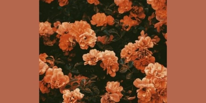 736x1308 Orange Grunge Aesthetic Wallpapers - Top Free Orange Grunge Aesthetic  Backgrounds - WallpaperAccess