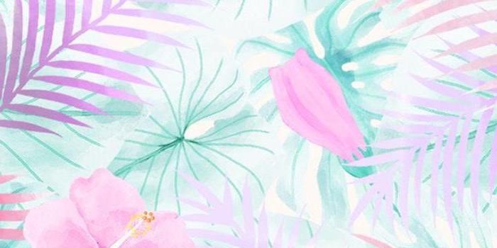 700x1244 ▷ 1001 + ideas for cute wallpapers that bring the summer vibe