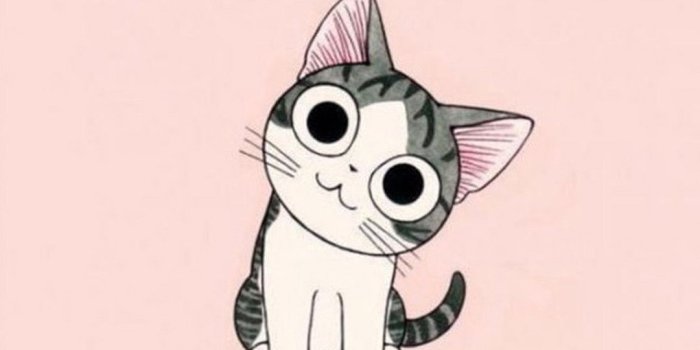 1080x1920 Cat Cartoon Wallpapers