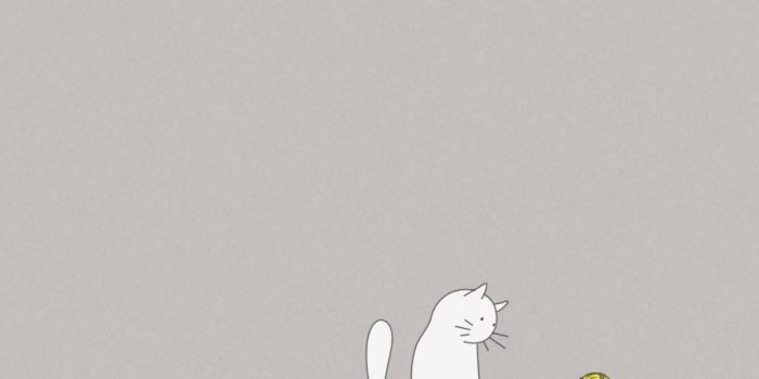 1024x1024 Awesome Cartoon Cat Wallpapers