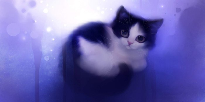 2112x1188 Cat Wallpaper (Cartoon, Cute, Purple) HD Cat Wallpaper