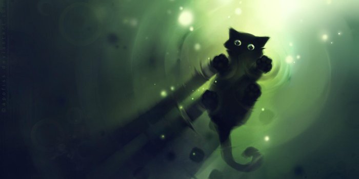 1920x1080 Animated Cats Wallpapers