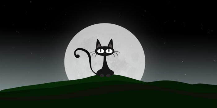 1680x1050 Cat Cartoon character - HD Desktop Wallpaper Preview | 10wallpaper.com