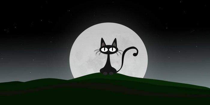 2560x1600 500+ Cartoon Cat Wallpapers & Background Beautiful Best Available For  Download Cartoon Cat Photos Free On Zicxa.com Images