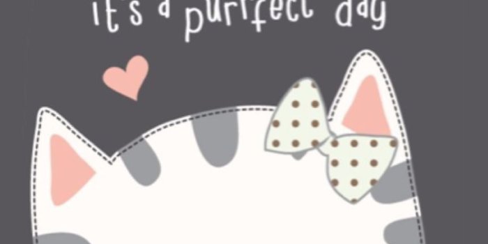 750x1333 Cat Wallpaper Cartoon Deals, 50% OFF | ilikepinga.com