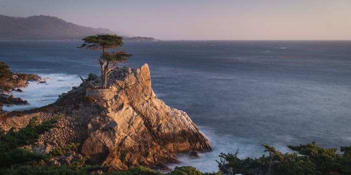 1600x840 In Defiance of Apple, This is a Nature-Themed macOS Monterey Wallpaper |  PetaPixel
