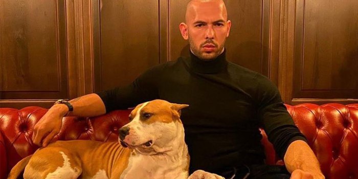 1280x720 Desktop Andrew Tate Wallpaper Explore more American, American-British  Kickboxer, Andrew Tate, British, Internet Personality wa… in 2022 | Tate,  Andrew, Mixed martial artist