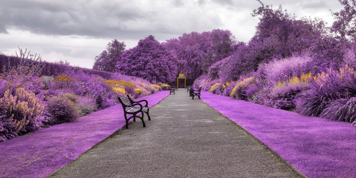 2099x1399 Belfast Botanic Gardens in Northern Ireland Wallpaper, HD City 4K Wallpapers,  Images, Photos and Background - Wallpapers Den
