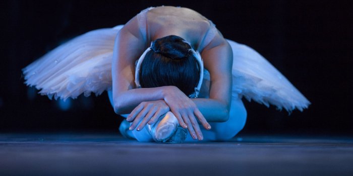 2560x1440 The Ballet Mac Wallpaper Download | AllMacWallpaper