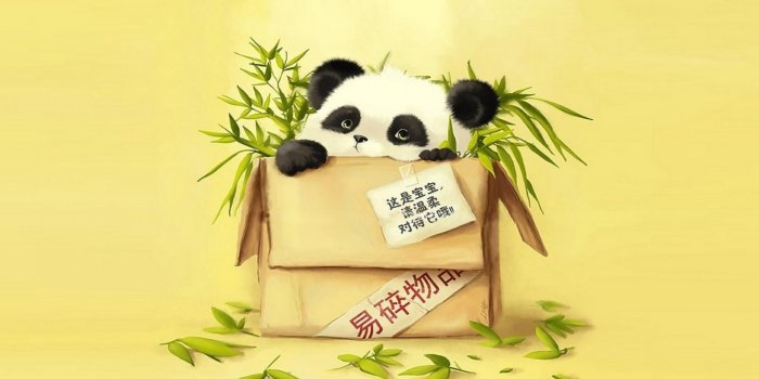 1920x1080 Cute Panda Wallpapers (64+ pictures)