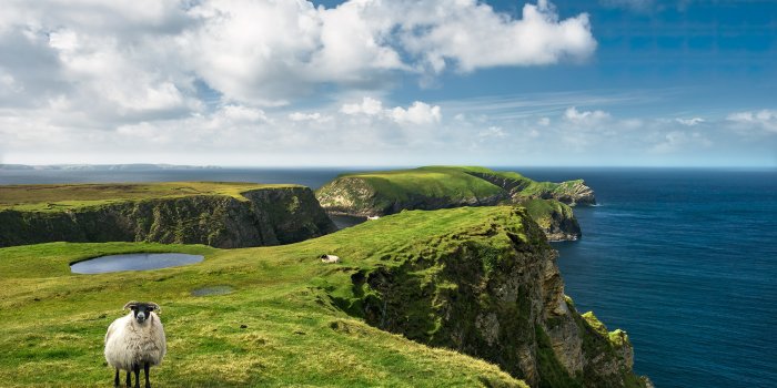 2000x1245 Non-woven photomural 