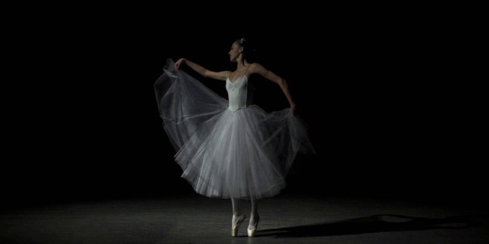 1920x1080 Download Ballet Dancer In Elegant Pose Wallpaper | Wallpapers.com