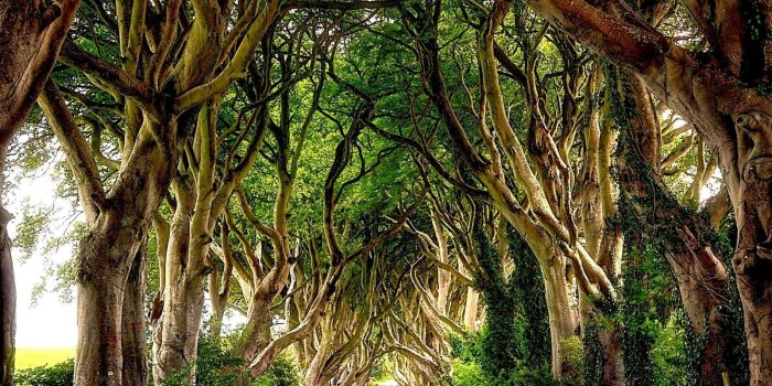 1600x1422 landscape, Ireland Wallpapers HD / Desktop and Mobile Backgrounds