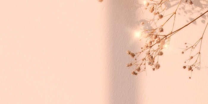 800x1422 Beige Aesthetic Photo Images | Free Photos, PNG Stickers, Wallpapers &  Backgrounds - rawpixel