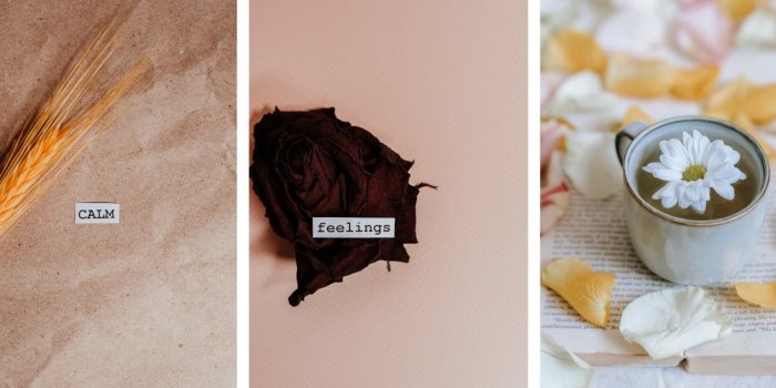 1440x648 Beige Aesthetic Wallpaper Backgrounds For iPhone - Glory of the Snow