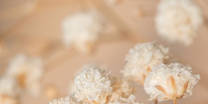 800x1422 Beige Aesthetic Photo Images | Free Photos, PNG Stickers, Wallpapers &  Backgrounds - rawpixel