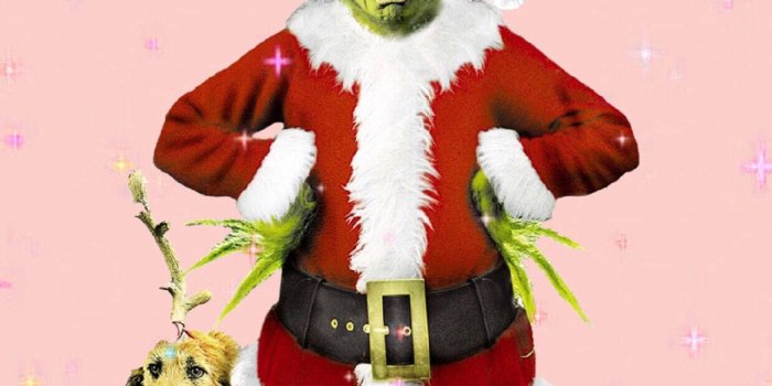 1240x2208 Download Grinch And Dog Double Hate Quotes Wallpaper | Wallpapers.com