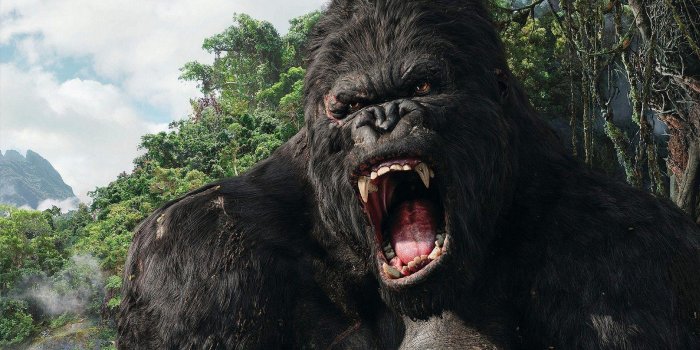1920x1080 King Kong Wallpapers - Top Free King Kong Backgrounds - WallpaperAccess
