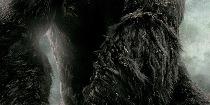 1536x2732 King Kong (2005) Phone Wallpaper | Moviemania | King kong art, King kong, King  kong movie