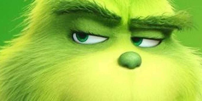 1080x1920 Download The Grinch Face Closeup Wallpaper | Wallpapers.com