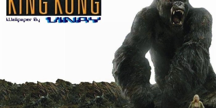 1024x768 King Kong Wallpapers