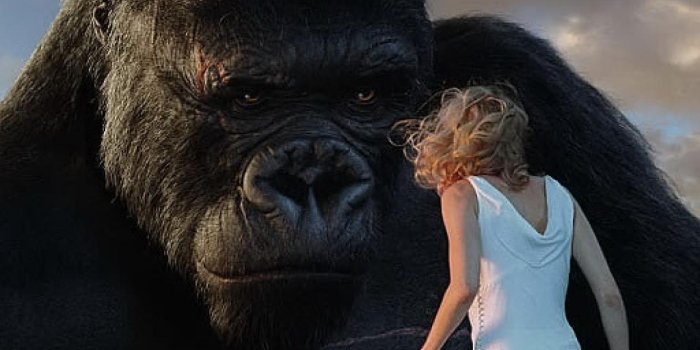 1366x768 King Kong Wallpapers