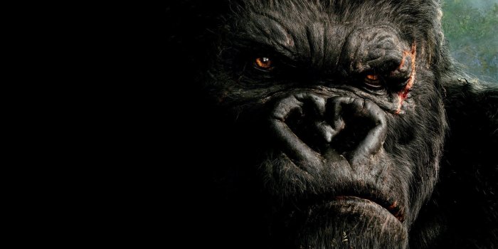 1920x1080 movies, King Kong Wallpapers HD / Desktop and Mobile Backgrounds