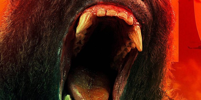 2048x2732 2048x2732 Kong Skull Island All Hail The King 4k Godzilla 2048x2732  Resolution Wallpaper, HD Movies 4K Wallpapers, Images, Photos and  Background - Wallpapers Den