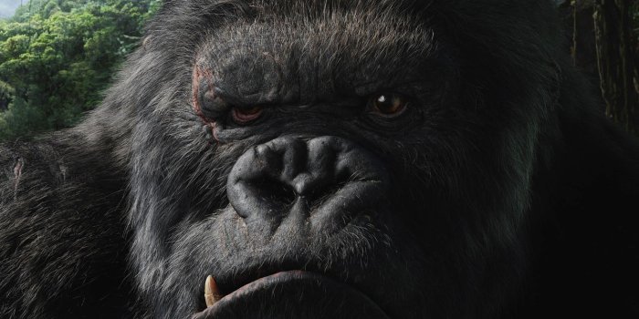 1332x850 Wallpaper movie, the film, King Kong, King Kong images for desktop, section  фильмы - download