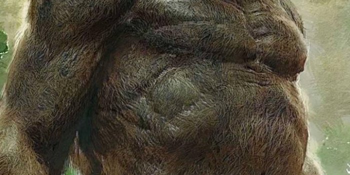 720x1280 Wallpapers for King Kong APK للاندرويد تنزيل