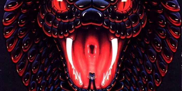 1600x1200 Red Snake Wallpapers - Top Free Red Snake Backgrounds - WallpaperAccess