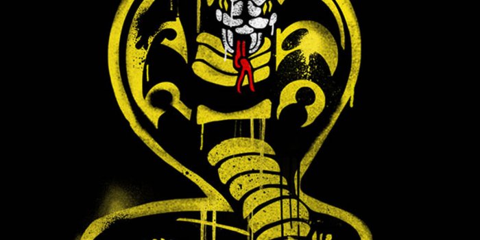 1079x1920 Download Cobra Kai Spray Paint Wallpaper | Wallpapers.com