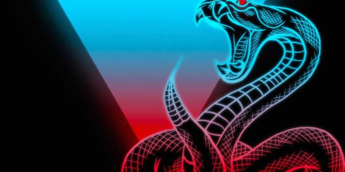 900x1600 Cobra Snake Neon IPhone Wallpaper - IPhone Wallpapers : iPhone Wallpapers