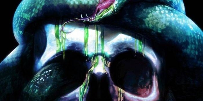 720x1280 Download snake skull Wallpaper by lizbethxx - 6e - Free on ZEDGE™ now.  Browse millions of popular cobra Wallpapers an… | Skull wallpaper, Snake  wallpaper, Skull art