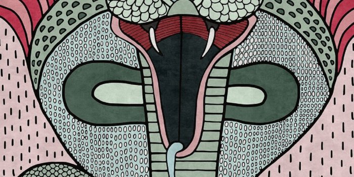 1300x1300 LONDONART COBRA WALLPAPER